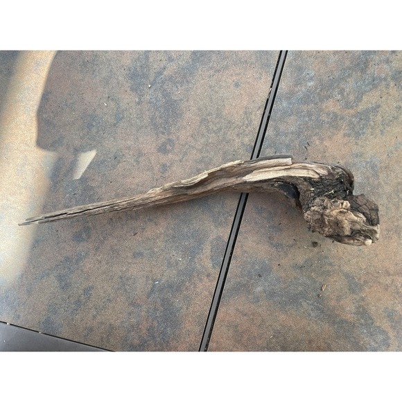 Natural Driftwood for Plants Terrarium Taxidermy Art Projects - Picture 3 of 5